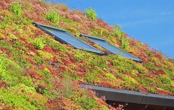 Galashiels living roof systems