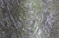 Galashiels fibreglass roof work